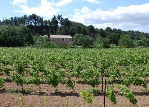 Domaine De "Creva-Tinas" Bed & Breakfast Mailhac Exterior photo