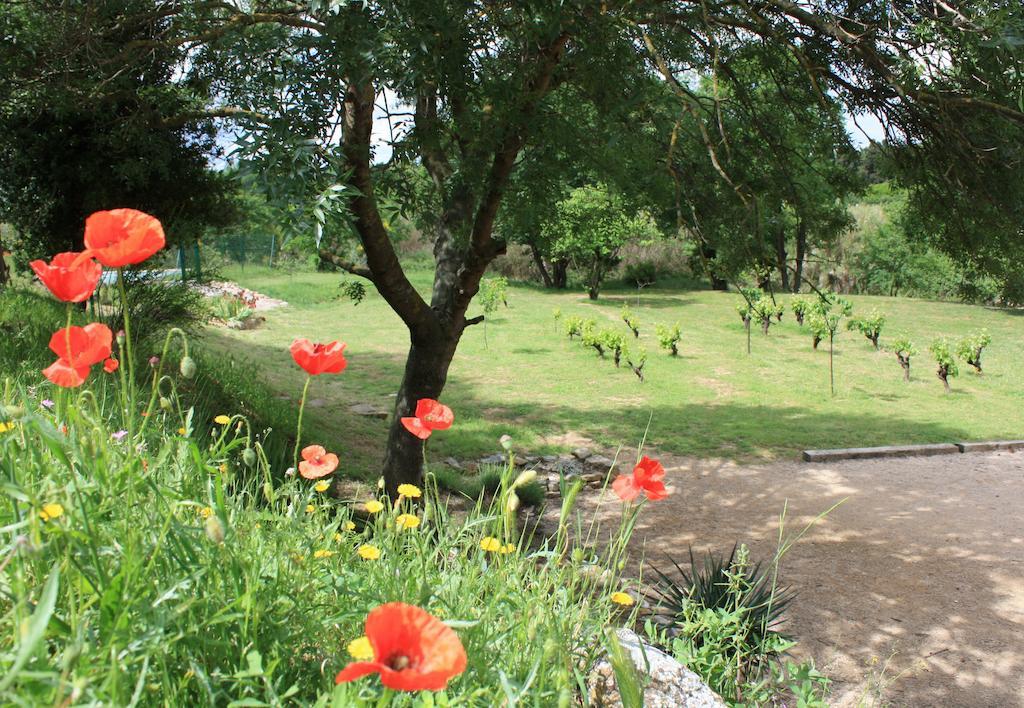 Domaine De "Creva-Tinas" Bed & Breakfast Mailhac Exterior photo